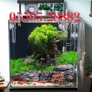 Hồ Đảo (Mẫu 1)