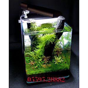 Hồ Natural (Mẫu Số 3)