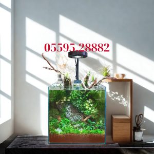 Hồ Natural (Mẫu Số 5)