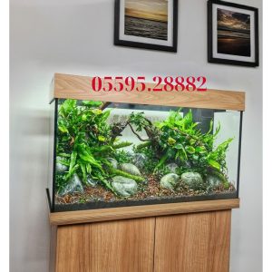 Hồ Natural (Mẫu Số 6)