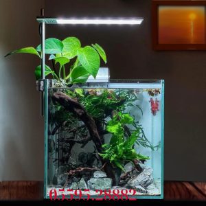 Hồ Natural (Mẫu Số 7)